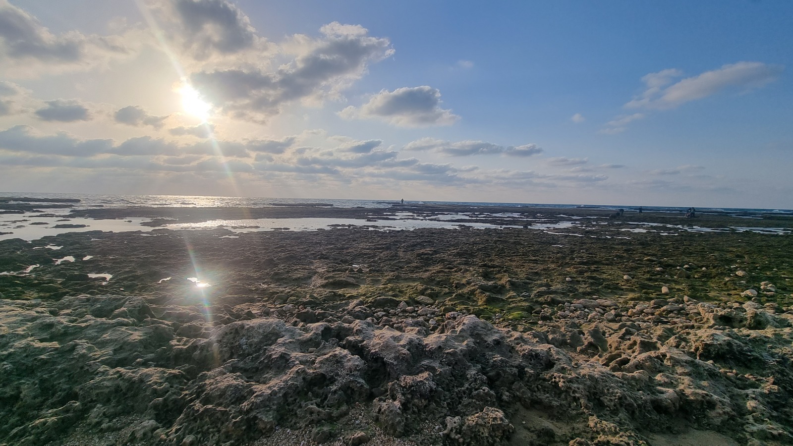 WhatsApp Image 2023-02-20 at 5.53.59 PM (17).jpeg